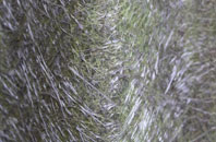 Crathes fibreglass roof work