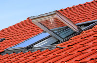 Crathes roof window